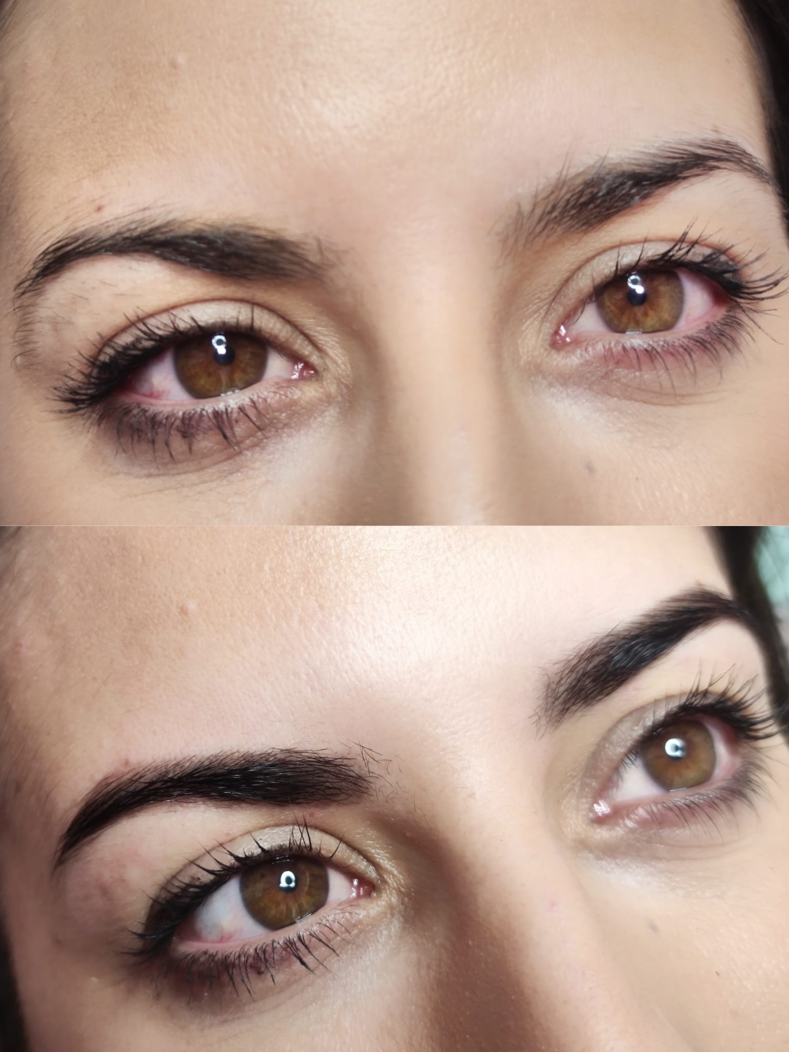 Download free bootstrap 4 admin dashboard, free boootstrap 4 templates